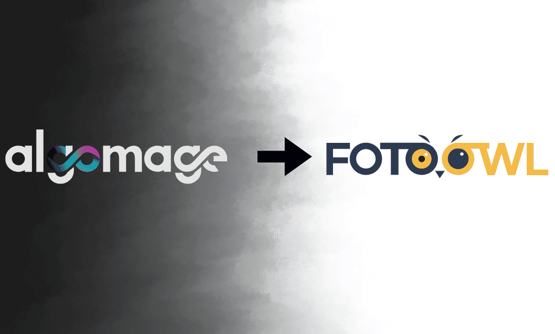 AlgoMage to FotoOwl transition - Algomage closing, Algomage shutdown, migrate from Algomage